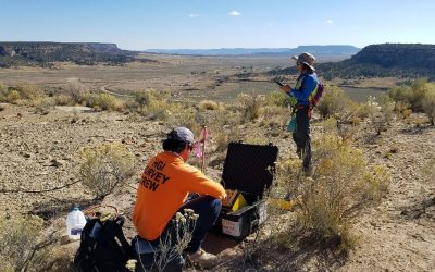 Solutions for a complex world: Induced Polarization